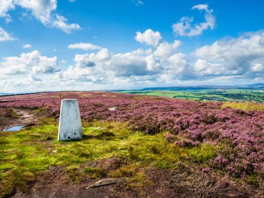 Yorkshire 'daki Addingham bozkırının tepesinde saf beyaz bir trigonometri noktası. Canlı mor bir fundalık denizi ve Yorkshire Dales üzerindeki görkemli manzarayla çevrili. Mevsim yaz ve gökyüzü mavi ve beyaz bulutlar dalgalanıyor..