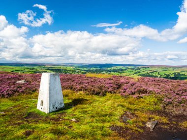 Yorkshire 'daki Addingham bozkırının tepesinde saf beyaz bir trigonometri noktası. Canlı mor bir fundalık denizi ve Yorkshire Dales üzerindeki görkemli manzarayla çevrili. Mevsim yaz ve gökyüzü mavi ve beyaz bulutlar dalgalanıyor..