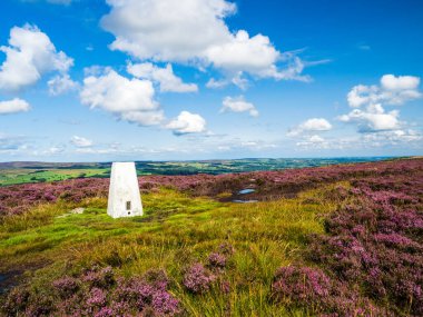Yorkshire 'daki Addingham bozkırının tepesinde saf beyaz bir trigonometri noktası. Canlı mor bir fundalık denizi ve Yorkshire Dales üzerindeki görkemli manzarayla çevrili. Mevsim yaz ve gökyüzü mavi ve beyaz bulutlar dalgalanıyor..