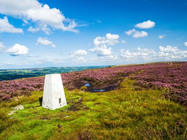 Yorkshire 'daki Addingham bozkırının tepesinde saf beyaz bir trigonometri noktası. Canlı mor bir fundalık denizi ve Yorkshire Dales üzerindeki görkemli manzarayla çevrili. Mevsim yaz ve gökyüzü mavi ve beyaz bulutlar dalgalanıyor..