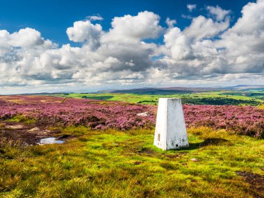 Yorkshire 'daki Addingham bozkırının tepesinde saf beyaz bir trigonometri noktası. Canlı mor bir fundalık denizi ve Yorkshire Dales üzerindeki görkemli manzarayla çevrili. Mevsim yaz ve gökyüzü mavi ve beyaz bulutlar dalgalanıyor..
