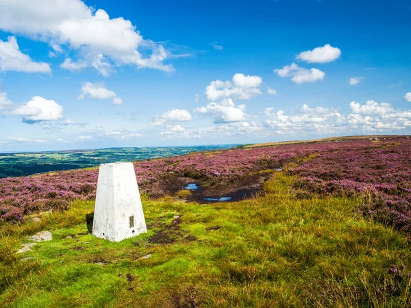 Yorkshire 'daki Addingham bozkırının tepesinde saf beyaz bir trigonometri noktası. Canlı mor bir fundalık denizi ve Yorkshire Dales üzerindeki görkemli manzarayla çevrili. Mevsim yaz ve gökyüzü mavi ve beyaz bulutlar dalgalanıyor..