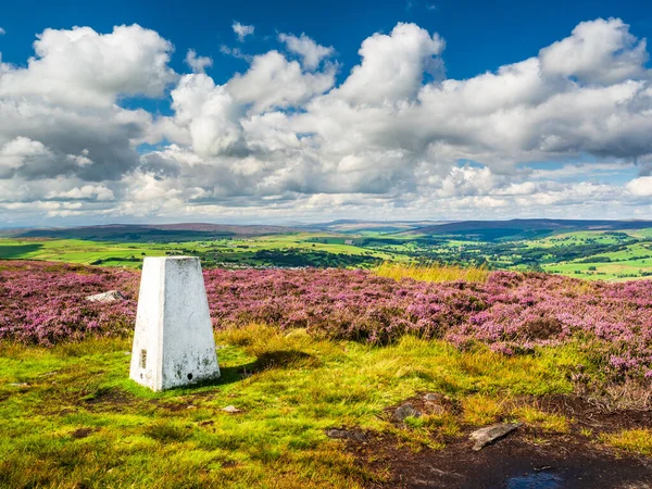 A pure white trig point at the top of Addingham moor in Yorkshire. Surrounded by a sea of vibrant purple heather and glorious views over the Yorkshire Dales. It is Summer and the sky is blue and the white clouds billowing.