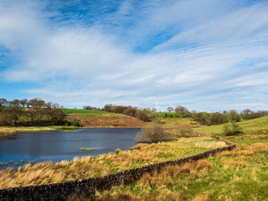 Yorkshire, Nidderdale 'deki John O' Gaunt rezervuarı. Güzel bir bahar öğleden sonrası ve manzara çok güzel. Kuru taş duvarlar ve su kuşları sahneyi tamamlıyor..
