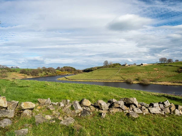 Yorkshire, Nidderdale 'deki John O' Gaunt rezervuarı. Güzel bir bahar öğleden sonrası ve manzara çok güzel. Kuru taş duvarlar ve su kuşları sahneyi tamamlıyor..