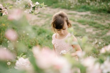 İlkbahar ilham fotoğrafı, doğal renkler.