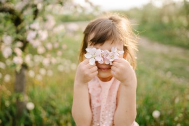 İlkbahar ilham fotoğrafı, doğal renkler.