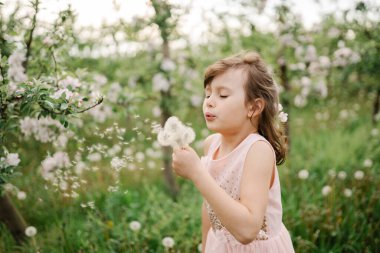 İlkbahar ilham fotoğrafı, doğal renkler.