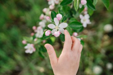 Bahar ilhamı, ilkbaharda doğa