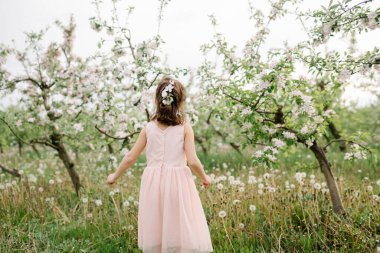 İlkbahar ilham fotoğrafı, doğal renkler.