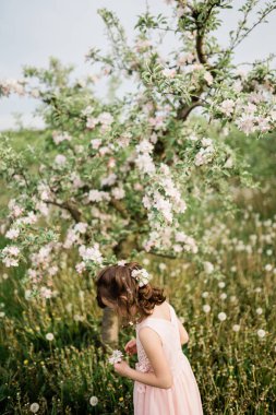 İlkbahar ilham fotoğrafı, doğal renkler.