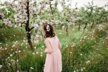 İlkbahar ilham fotoğrafı, doğal renkler.