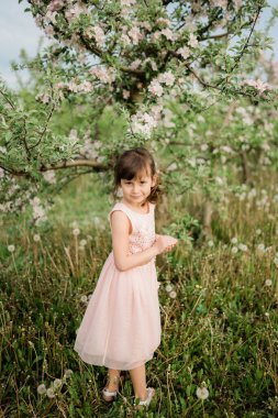 İlkbahar ilham fotoğrafı, doğal renkler.