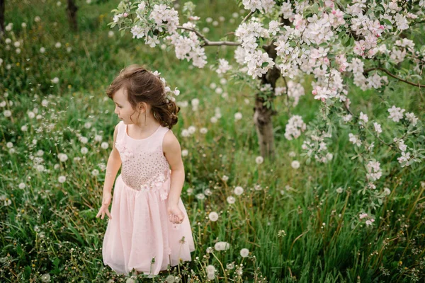 stock image Spring time inspiration photo, natural colors