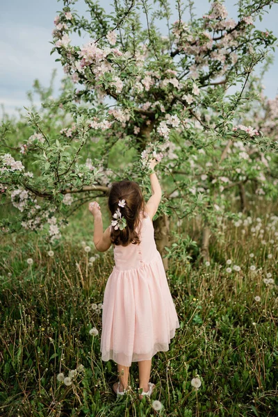 İlkbahar ilham fotoğrafı, doğal renkler.