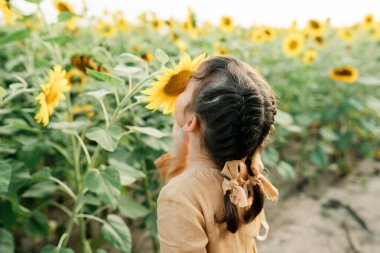 Yaz mevsiminde güneşli bir gün. Ayçiçeklerinin arasındaki çocuk