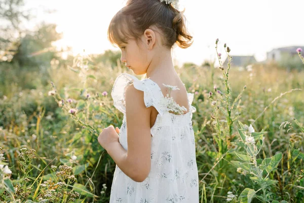 Happy little girl in the field of Queen Annes Lace flower — Stock Photo, Image