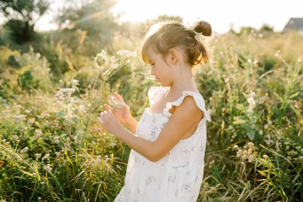 Menina feliz no campo da flor Rainha Annes Lace — Fotografia de Stock