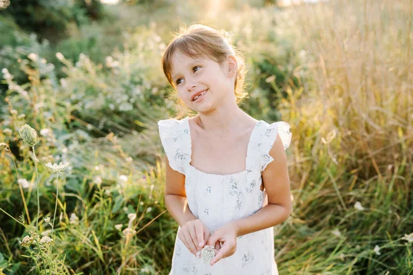 Щаслива маленька дівчинка в полі квітки королеви Анни Лейс. — стокове фото