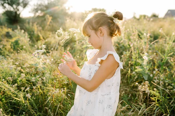 Menina feliz no campo da flor Rainha Annes Lace — Fotografia de Stock