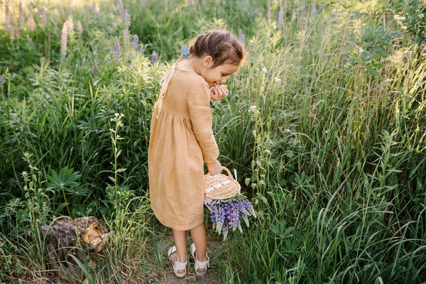 Летние Вибрации Милая Девушка Горчичном Льняном Платье Собирает Клубнику Лесу — стоковое фото