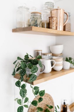 Bitkilerle dolu mutfak rafları, çeşitli beyaz seramik ve cam kavanozlar. Mutfakta rafları açın. Mutfak dahili fikirleri. Çevre dostu mutfak, sıfır atık ev konsepti