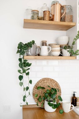Bitkilerle dolu mutfak rafları, çeşitli beyaz seramik ve cam kavanozlar. Mutfakta rafları açın. Mutfak dahili fikirleri. Çevre dostu mutfak, sıfır atık ev konsepti