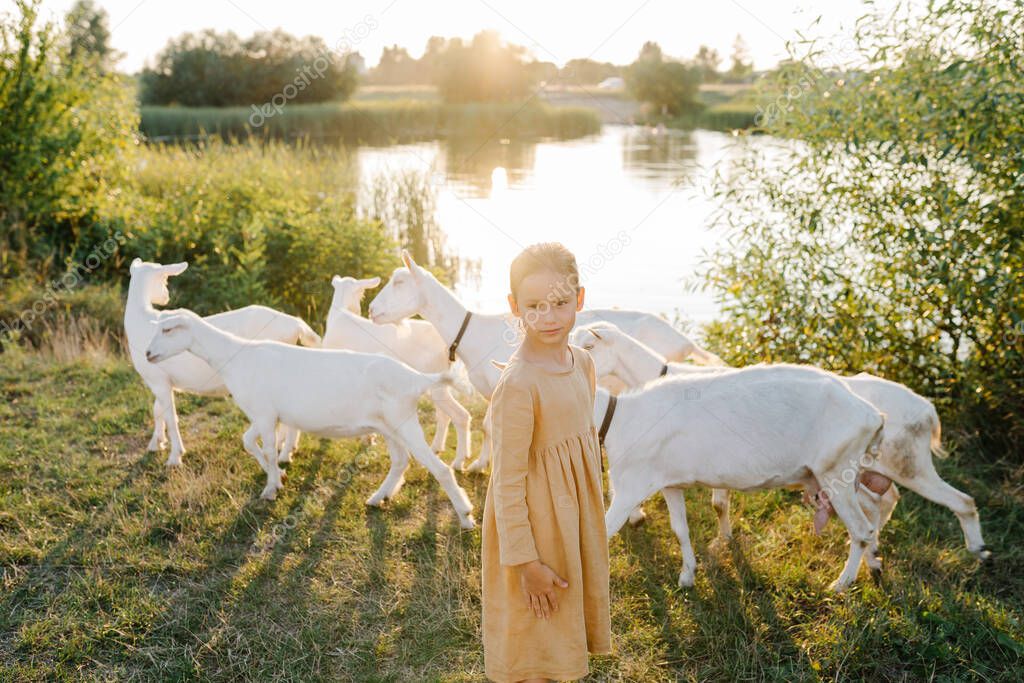 Cute caucasian girl wearing natural linen dress in the nature, goats walking behind her, lake in sunset light on background. Coutryside living. Summer vibes. The feeling of summer.