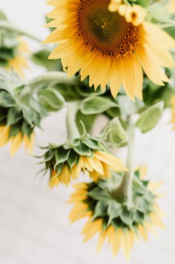 Sunflowers bouquet in vase on the table