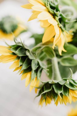 Sunflowers bouquet in vase on the table