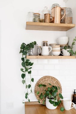 Bitkilerle dolu mutfak rafları, çeşitli beyaz seramik ve cam kavanozlar. Mutfakta rafları açın. Mutfak dahili fikirleri. Çevre dostu mutfak, sıfır atık ev konsepti