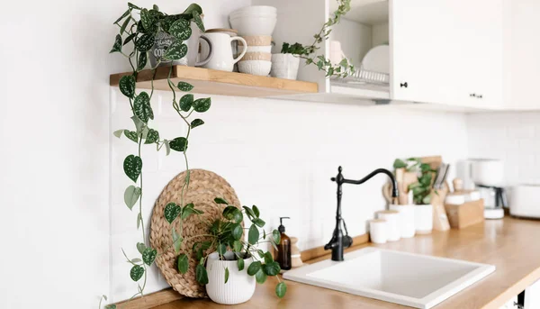 View on white simple modern kitchen in scandinavian style, kitchen details, houseplants in interior, wooden table, white ceramic brick wall background