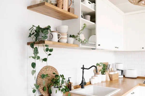View White Simple Modern Kitchen Scandinavian Style Kitchen Details Houseplants — стоковое фото