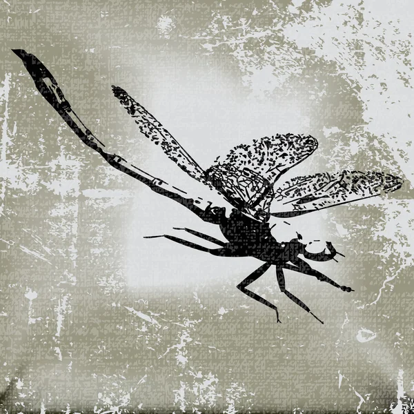 Dragonfly φόντο — Διανυσματικό Αρχείο