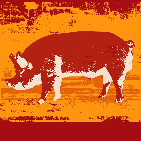 Grunge de porco — Vetor de Stock