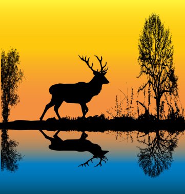 Şafakta bekarlığa