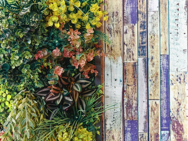 Pełna Ramka Tła Sztucznie Kwitnących Roślin Kolorowe Drewniane Plandeki Ściany — Zdjęcie stockowe