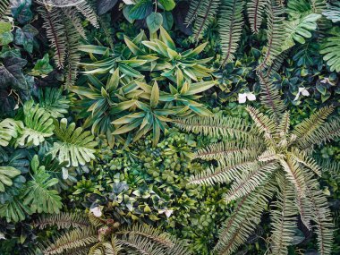 Yeşil Sanatsal Santrallerin Çeşitli Türlerinin Tam Çerçeve Arkaplanı