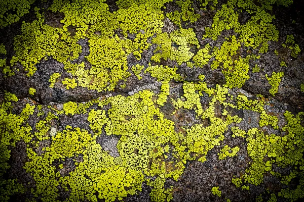 Patrón de textura de fondo oscuro Grungy Rock —  Fotos de Stock