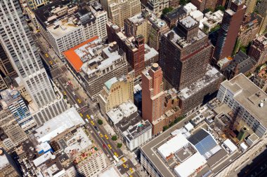 new york şehir şehir sokak kuşlar göz görüntülemek