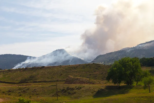 Brûlage de feux de forêt dans les montagnes du Colorado — Photo