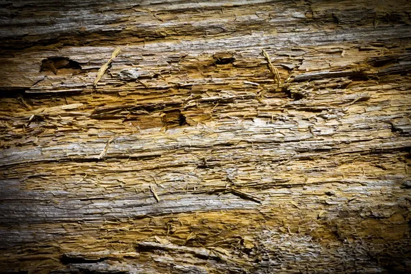 Fondo de textura de grietas de madera —  Fotos de Stock