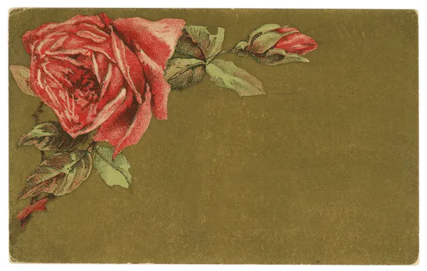 Tarjeta de felicitación de fondo Vintage Roses — Foto de Stock