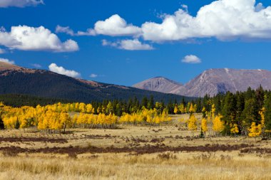 Colorado dağ manzarası Güz
