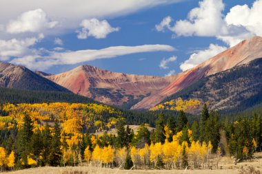 Colorado dağ manzarası ile sonbahar aspens