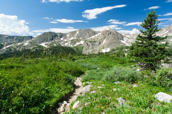 远足径通过科罗拉多山风景 — 图库照片