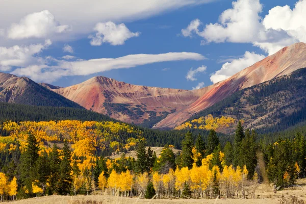 コロラド州の山の風景と落ちるアスペンズ — ストック写真