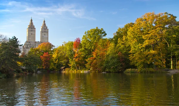 Hojas de otoño en Central Park Nueva York —  Fotos de Stock