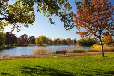 sonbaharda göl kenarında park bankında