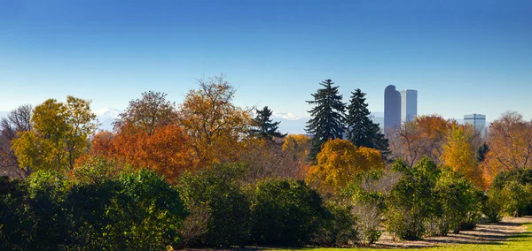 Panoramautsikt city park i höst - denver, colorado — Stockfoto